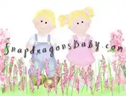 snapdragonsbaby.com